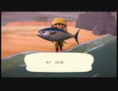 【あつまれ どうぶつの森】とにかく楽しい島流し Part5