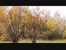 小高健三