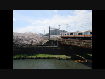 東京ロックダウン