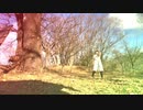 『初投稿』  Hand in Hand 踊ってみた　『柴わん』