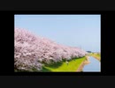 旅立ちの日にを暗くしてみた