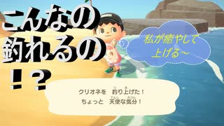 【あつまれ どうぶつの森】　第七幕　今日も釣りに性を出していたらまさか！？な奴が釣れた～