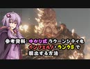 【RE:3】参考資料:ゆかり式ラクーンシティをインフェルノ・ランクSで脱出する方法_前編【VOICEROID実況】