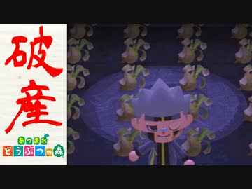 【実況】まかせろ！おとこぎの森 part17【あつまれ どうぶつの森】