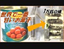 「世界で一番甘いお菓子」を1万匹のアリの巣に放り込んだら、ワクワクする結果になった。