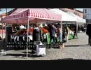武漢肺炎ウイルス感染対策北欧のスウェーデンとデンマーク対照的な方式