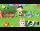 【あつまれどうぶつの森】仕事に疲れたアラサーが無人島生活 12日目