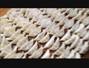 餃子を作るひきこもり大学生21歳の動画です。