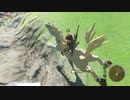 軽い縛りとマスターモードでゼルダの伝説ブレスオブザワイルドpart193。