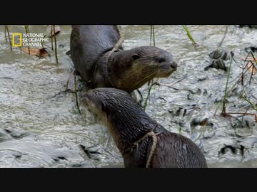 やったぜ。（１５人分くらい）.sugita