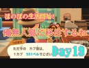 ほのぼのと無人島で生活していく！Day19【あつまれ！どうぶつの森】