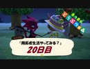 【N.Sw】" あつまれ どうぶつの森 " 開拓者生活やってみる？　20日目　【生放送】
