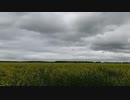 DUB TECHNO || Selection 040 || Yellow & Green
