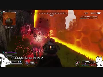 犬の恩返し（犬）.ApexLegends