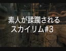【素人が蹂躙されるスカイリム】実況プレイ_part03