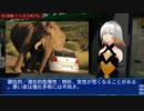 カオスインサージェンシー：CI-008 - トゥスクボアレ