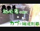 【東北姉妹車載】初心者の癖にカブで隧道制覇 18本目【最終回】