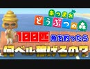 【あつ森】もし桟橋で100匹魚を釣ったら、何ベルになるのか【検証動画】