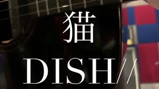 最強正統派シンガーソングライター中原くんが「猫/DISH//」を一発録りで弾き語ったらニコニコの歴史が変わった！！