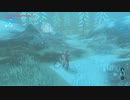 【Switch】リンクの記憶なしで成り行き旅【プレイ動画】part65