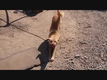 帰ってきたらメイリオが寝てた