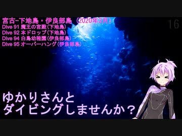 【宮古-下地島・伊良部島（沖縄県）】ゆかりさんとダイビングしませんか？