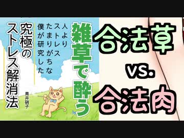 合法少女肉、合法草に挑む