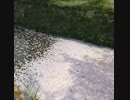 【トークロイド】リンレンがお散歩しているようです【おさんぽ】