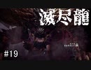 【実況】独りで狩りつくすMHWI [part19]