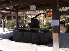 シーイーの古都京都巡り013賀茂別雷神社