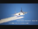 ACE COMBAT 7 スペア隊の動画（無料ＤＬＣスキン）