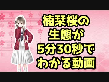 【初心者向け】楠栞桜の生態が5分30秒でわかる動画