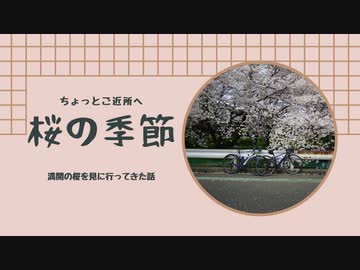 【ホームムービー】満開の桜を見に行ってきた話