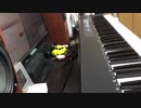 Key “Summer Pockets REFLECTION BLUE” OP 「アスタロア」を弾いてみた