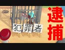島に犯罪者がいたので逮捕して牢屋に入れた【あつまれどうぶつの森/あつ森】