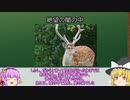 [ゆっくり医学解説]ブルマと濡れTの起源[鹿が生み出した名医]