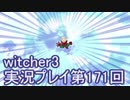 探し人を求めてwitcher3実況プレイ第171回