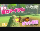 【実況】あの強力アイテム★ゲット＃５【ゼルダの伝説 ブレス オブ ザ ワイルド】
