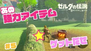 【実況】あの強力アイテム★ゲット＃５【ゼルダの伝説 ブレス オブ ザ ワイルド】