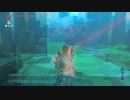 【Switch】リンクの記憶なしで成り行き旅【プレイ動画】part66