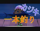 【あつ森】ゆる～くやるどうぶつの森【9日目】
