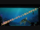 人間界は今日ハロウィンなんですけど・・・【タートルトーク】東京ディズニーシー