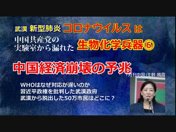 【YouTube不適切認定動画】#006中国経済崩壊の予兆/WHOへの圧力