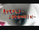【閲覧注意】見せてやんよ…この世の地獄をな…