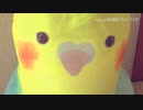 ドックフードの名前を必殺技っぽく叫んでみた