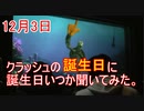 クラッシュの誕生日に誕生日いつか聞いてみた【タートルトーク】東京ディズニーシー