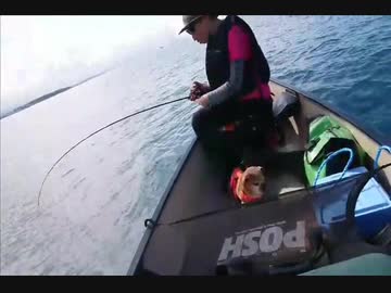 【ニコ生アーカイブ】海釣り初心者の嫁が初戦でやらかす【鯛ラバ】