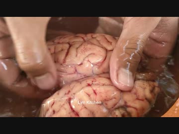 ホモと見るアフリカのグルメ：ウシの脳みそ