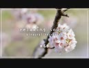 梵天で耳かき - 春の朝の環境音【入眠用BGM #60】