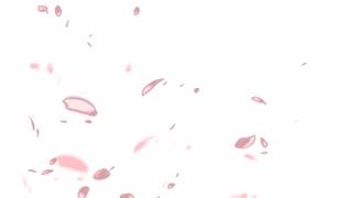 【初音ミク】京桜